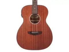 D'Angelico Premier Tammany LS main image