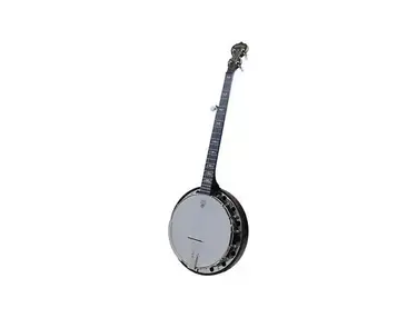 Deering Artisan Goodtime Special 5-String Resonator Banjo