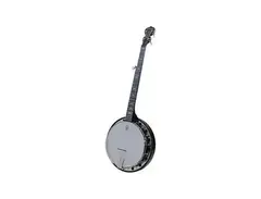 Deering Artisan Goodtime Special 5-String Resonator Banjo