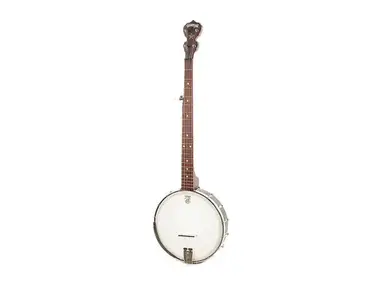 Deering Classic Goodtime 5-String Banjo