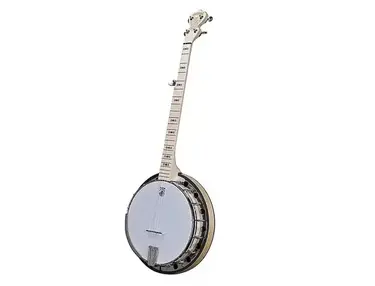 Deering Goodtime Special Classic 5-String Banjo