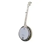 Deering Goodtime Special Classic 5-String Banjo
