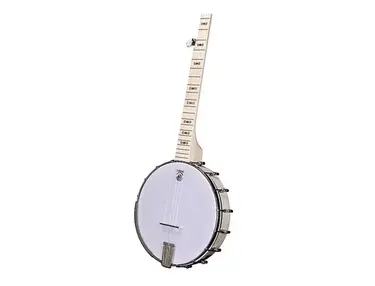 Deering Goodtime Special Openback 5 String Banjo