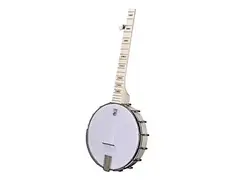 Deering Goodtime Special Openback 5 String Banjo main image