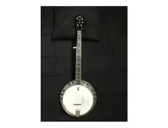 Deering Maple Blossom Professional 5-String Banjo main image