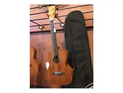 Diamond Head DU-200T Tenor Ukulele main image
