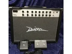 Diezel Einstein 2-Channel 50-Watt 1x12" Guitar Combo main image