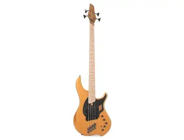 Dingwall NG Adam "Nolly" Getgood Signature 4-String