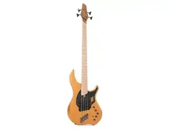 Dingwall NG Adam "Nolly" Getgood Signature 4-String main image