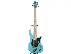 Dingwall NG Adam "Nolly" Getgood Signature 5-String