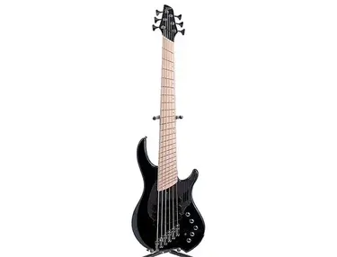 Dingwall NG Adam "Nolly" Getgood Signature 6-String