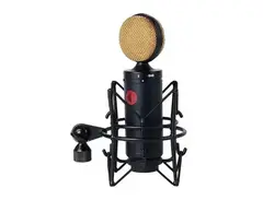 Direct Sound DS-60 Large Diaphragm Condenser Microphone main image