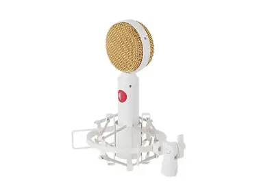 Direct Sound DS-65 Large Diaphragm Condenser Microphone