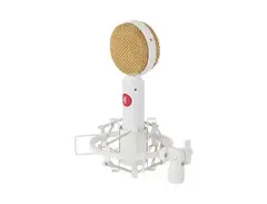 Direct Sound DS-65 Large Diaphragm Condenser Microphone main image
