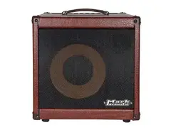 DV Mark AC 101 H 2-Channel 150-Watt 1x10" Acoustic Guitar Combo main image