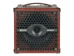 DV Mark AC 801 P 60-Watt 1x8" Acoustic Guitar Combo main image