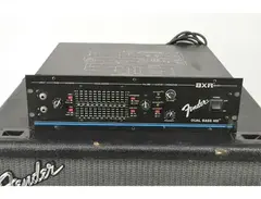 Fender BXR Dual Bass 400