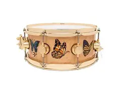 DW DREX5513SSG-SE Sheila E. Signature Icon 6.5x14" Snare Drum main image