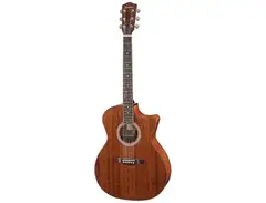 Eastman AC-GA2CE main image
