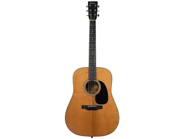 Eastman E10D-TC