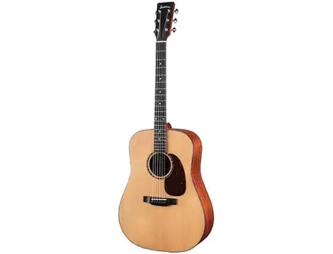 Eastman E2D-CD