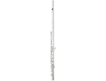 Eastman EFL210 Student C Flute