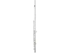 Eastman EFL210 Student C Flute main image