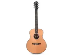 Eastman PCH2-TG