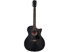 Eastman PCH3-GACE main image