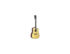 washburn d46sce12