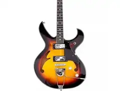 Eastwood Fire Bird main image