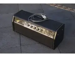 Goldentone Bassmaster 40W