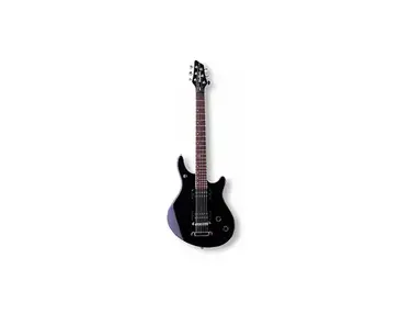 Washburn BT-2