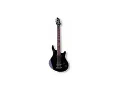 Washburn BT-2