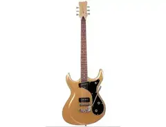 Eastwood Sidejack Baritone DLX 20th Anniversary LTD main image