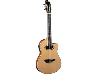 Eko NXT-N100CWE Classical with Electronics