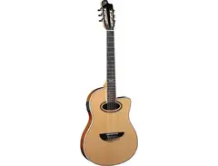 Eko NXT-N100CWE Classical with Electronics main image