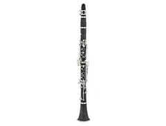 Eldon ECL-211 Bb Student Clarinet main image