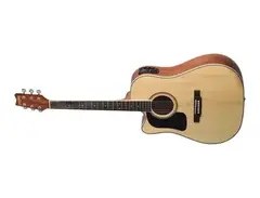 Washburn D10SCE-LHK (Left Handed) main image