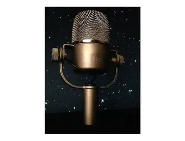 Electro-Voice RE38N/D Cardioid Dynamic Microphone
