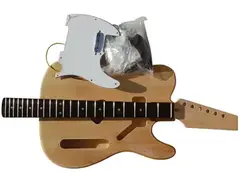 Rocktile Telecaster main image