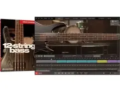 Toontrack 12-string Bass EBX Sound Expansion