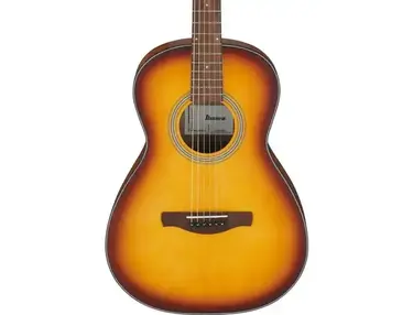 Ibanez PN50 Acoustic Guitar