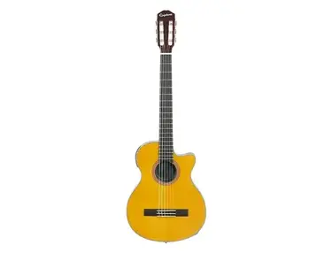 Epiphone CEC Coupe