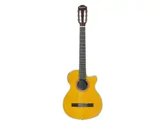Epiphone CEC Coupe main image