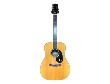Epiphone FT-132