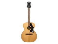 Epiphone FT-134 main image