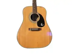 Epiphone FT-155 main image