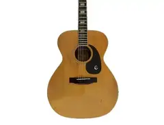 Epiphone FT-335 Troubabour main image