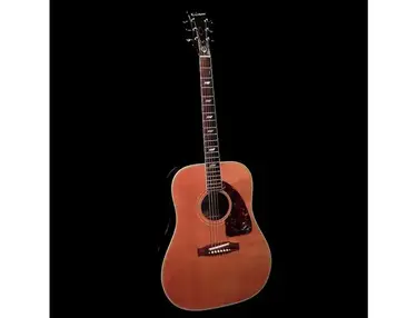 Epiphone FT-90 El Dorado